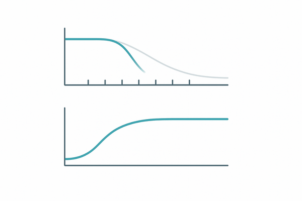 デュタステリドの半減期と定常状態のイメージ｜長い半減期と血中濃度の安定化