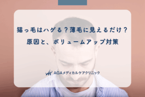 猫っ毛はハゲる？薄毛に見えるだけ？原因と、ボリュームアップ対策