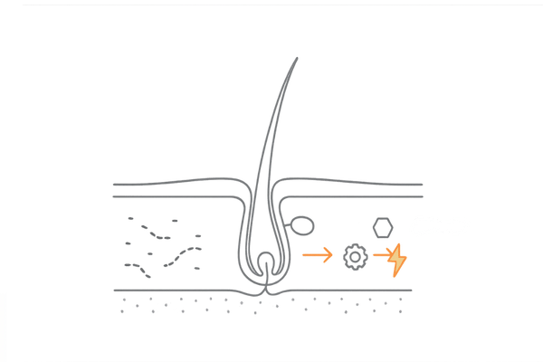 生え際の薄毛が治りにくい原因図解（血流不足とDHT生成のメカニズム）