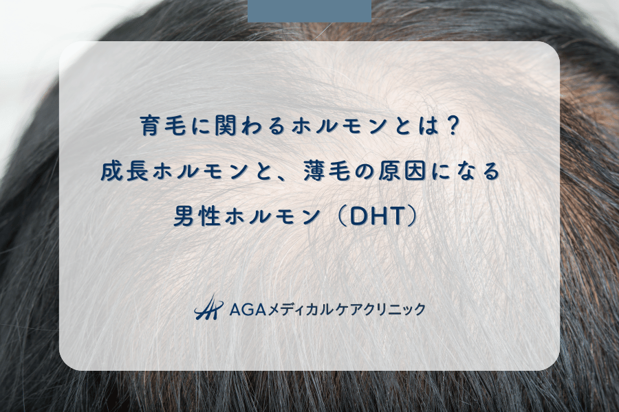 育毛に関わるホルモンとは？成長ホルモンと、薄毛の原因になる男性ホルモン（DHT）