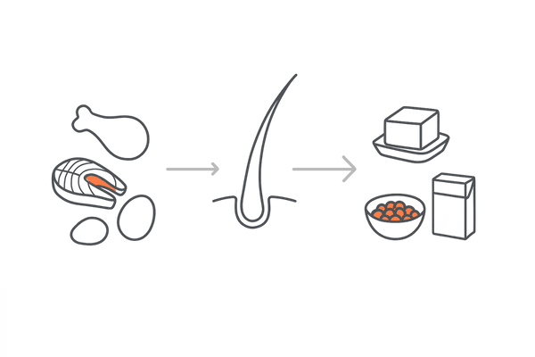 タンパク質で髪を作る|動物性×植物性のバランス
