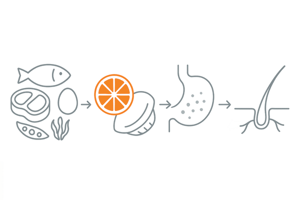 髪の栄養バランス改善フロー：食材選択→食べ合わせ→消化吸収→頭皮へ運搬