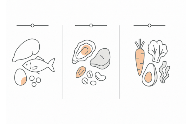 太い髪づくりの栄養バランス｜タンパク質・亜鉛・ビタミン群の食材アイコン