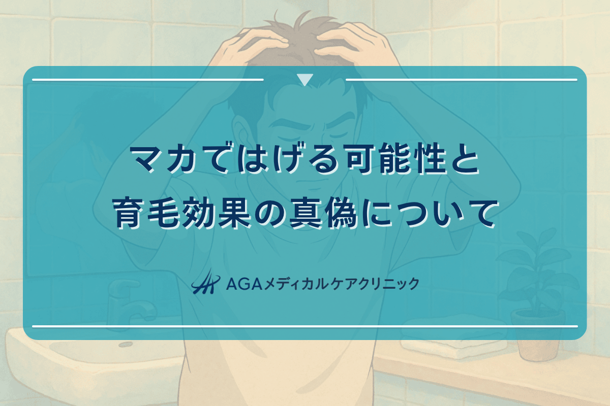 マカではげる可能性と育毛効果の真偽について