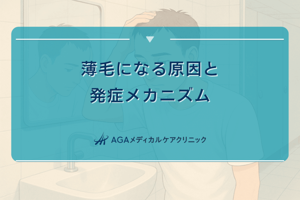 薄毛になる原因と発症メカニズム - 早期発見のために