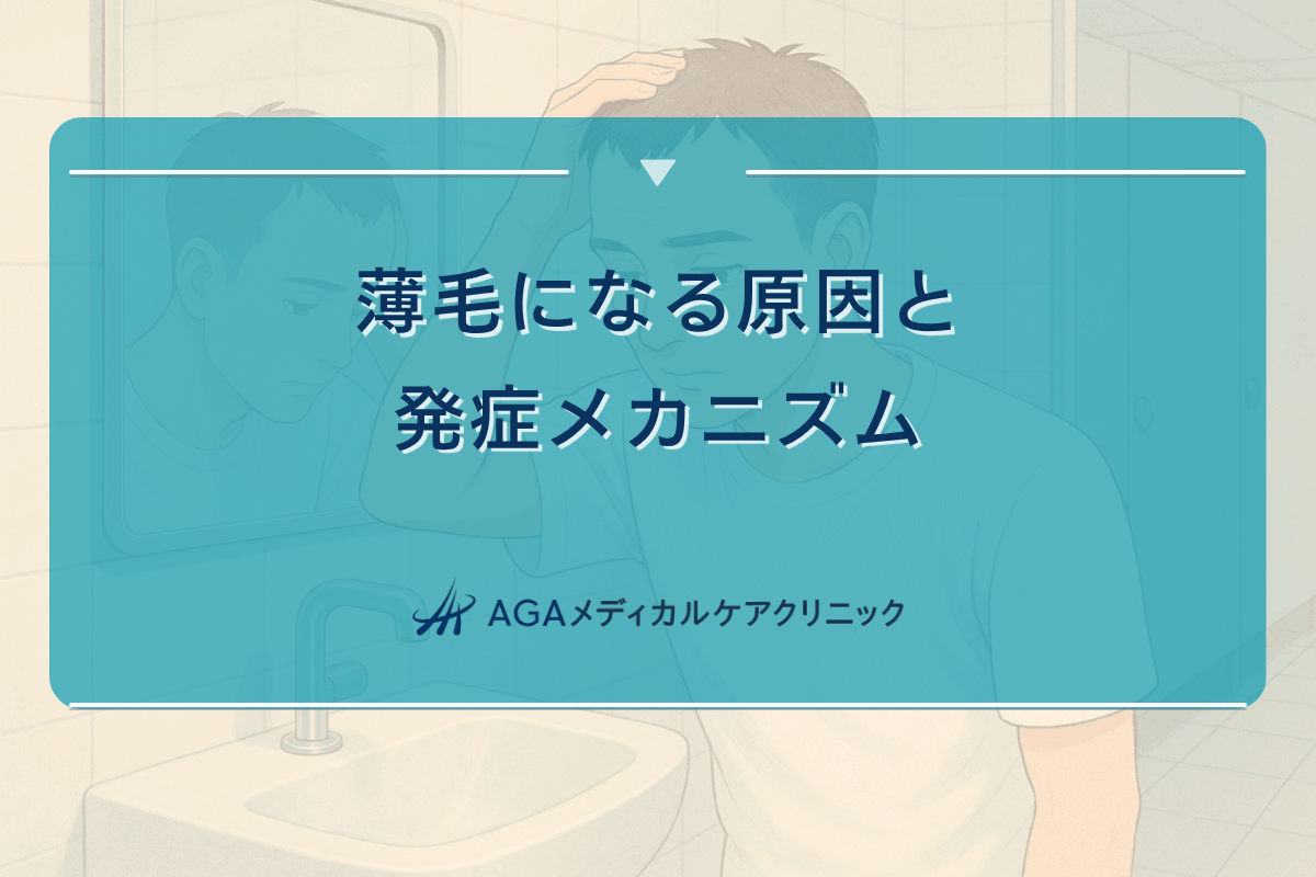 薄毛になる原因と発症メカニズム - 早期発見のために