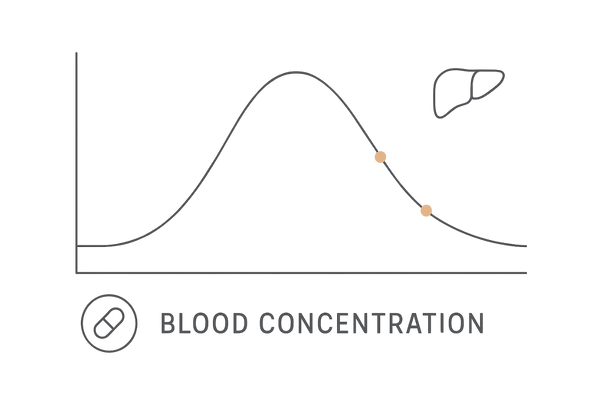 ミノキシジル内服の血中濃度推移｜Tmax約1時間と半減期約4時間の模式図