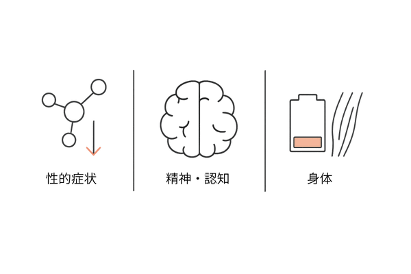 ポストフィナステリド症候群の主な症状カテゴリ（性・精神・身体）の可視化イラスト