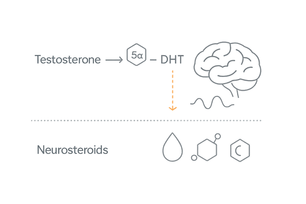 PFSの機序仮説イメージ：5αリダクターゼと神経ステロイドの関係図
