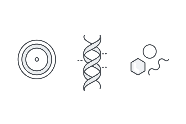 ケラチンとアミノ酸の関係図：毛髪断面・ケラチン鎖・主要アミノ酸