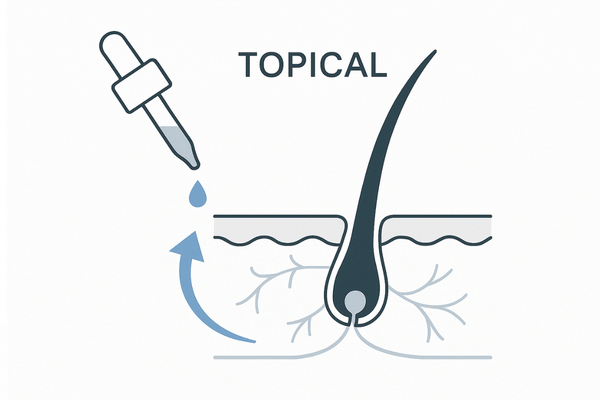 リアップ（ミノキシジル）の発毛メカニズム｜毛包と血流拡張の関係