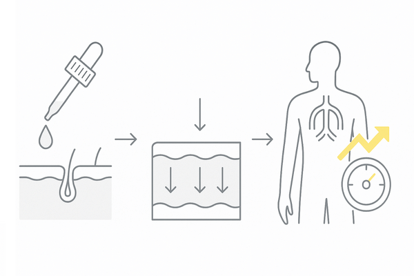 ミノキシジルと血圧の関係｜外用でも起こり得る全身影響のイメージ図