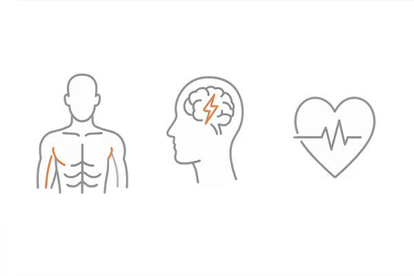 テストステロンの主な作用（身体・精神・性機能）の3領域アイコン図