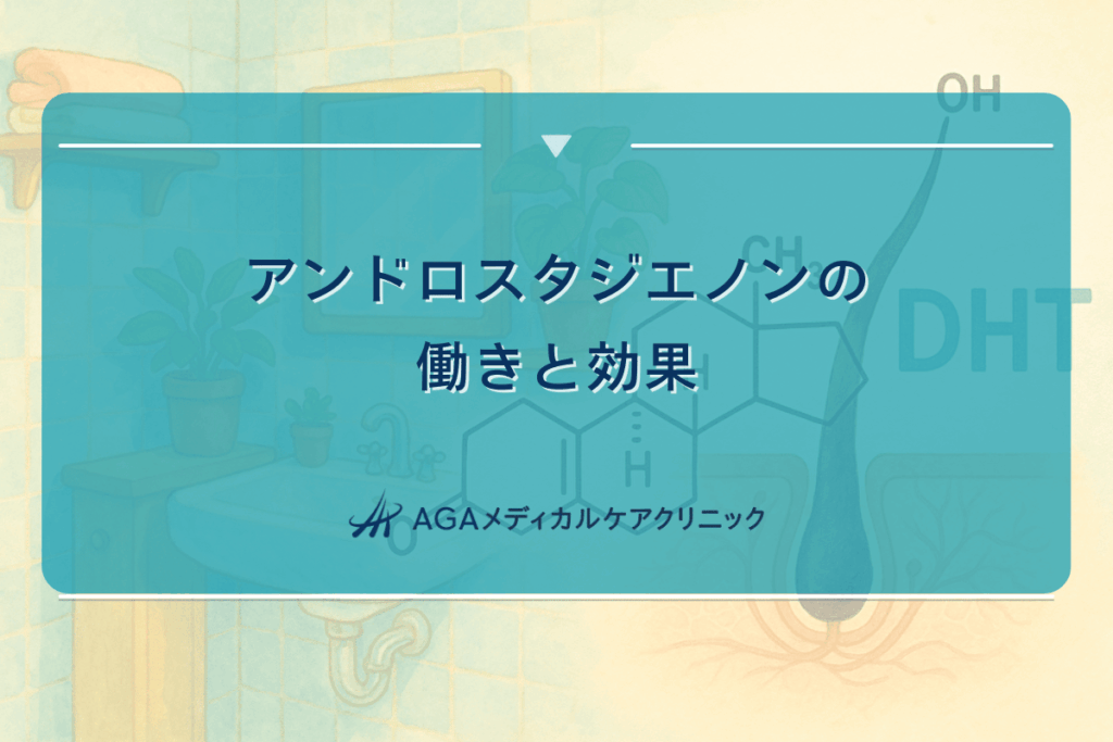 アンドロスタジエノンの働きと効果｜ホルモンへの影響