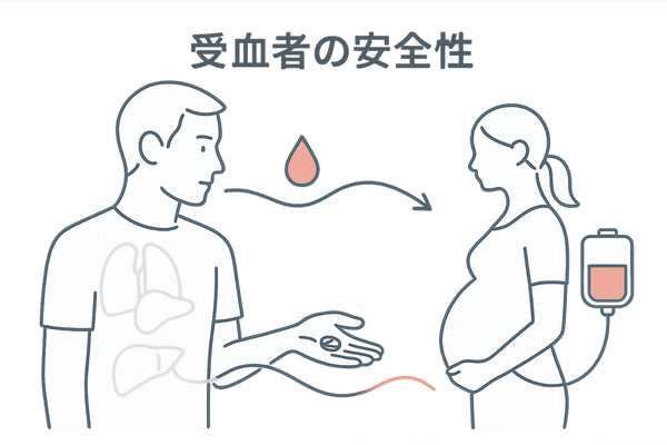 AGA治療薬成分が妊婦や受血者に与えるリスクのイメージ図