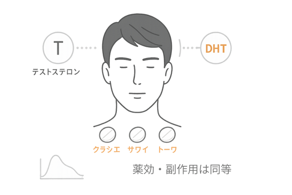 フィナステリド1mg錠クラシエ・サワイ・トーワの共通点(DHT抑制と生物学的同等性)