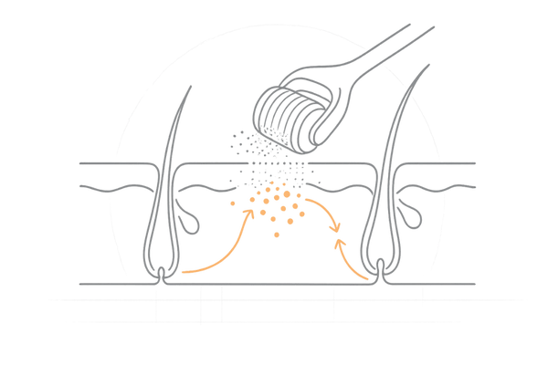ダーマローラーによる創傷治癒と成長因子の分泌イメージ|頭皮環境と発毛への影響