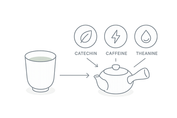 緑茶に含まれるカテキン・カフェイン・テアニンの成分イメージ図
