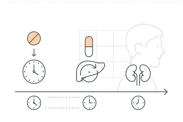 ミノキシジルとイブプロフェンの安全な服用間隔イメージ（4〜6時間あけるタイムライン）