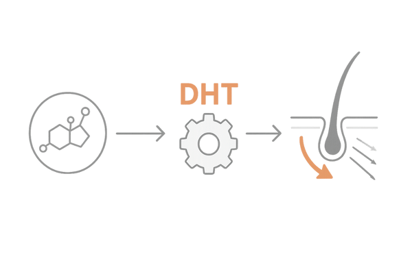 男性ホルモンDHTと5αリダクターゼによるAGA発症メカニズム図解