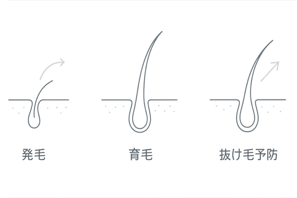 市販ミノキシジルの発毛・育毛・抜け毛予防の3つの作用イメージ
