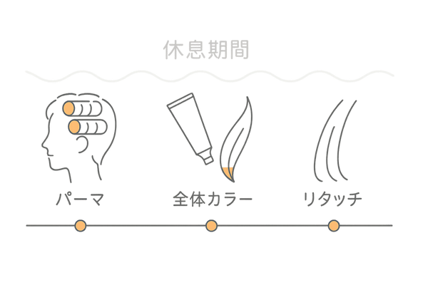 パーマ・カラーリング頻度と薄毛予防のための理想的な施術間隔タイムライン図