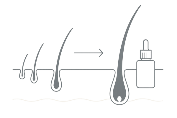 リアップがヘアサイクルを整えて発毛を促す仕組みの図解