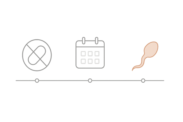 フィナステリドの半減期と妊活時の休薬スケジュールを示すタイムライン図