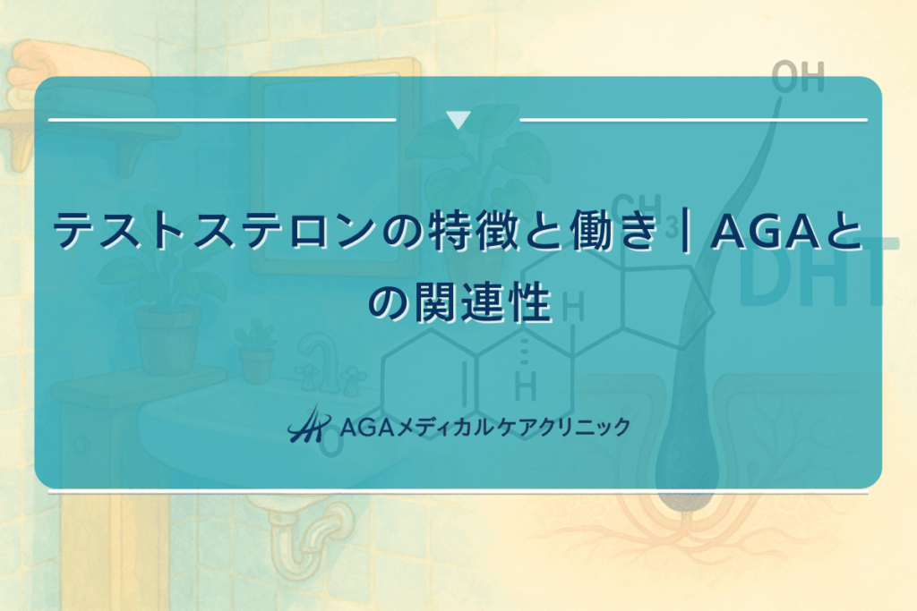 テストステロンの特徴と働き｜AGAとの関連性