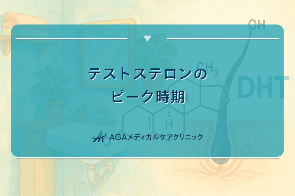 テストステロンのピーク時期と年齢による変化について