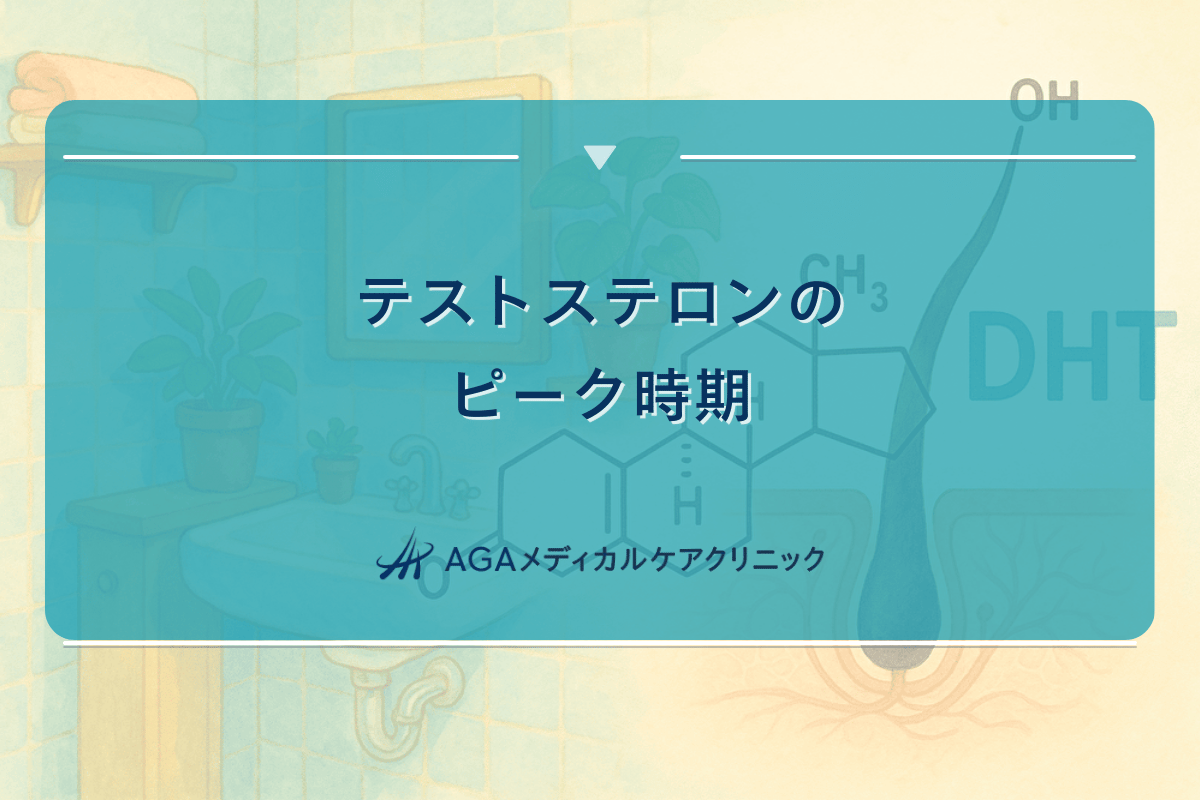 テストステロンのピーク時期と年齢による変化について