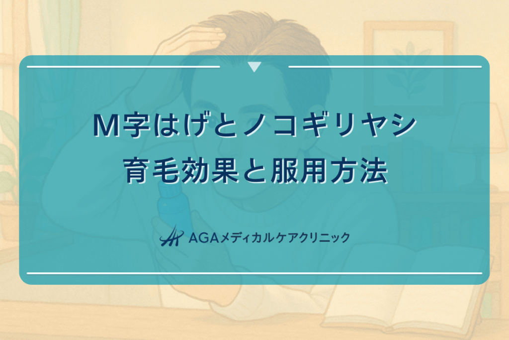 M字はげとノコギリヤシ｜育毛効果と服用方法