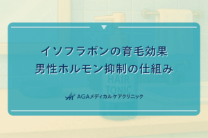 イソフラボンの育毛効果｜男性ホルモン抑制の仕組み