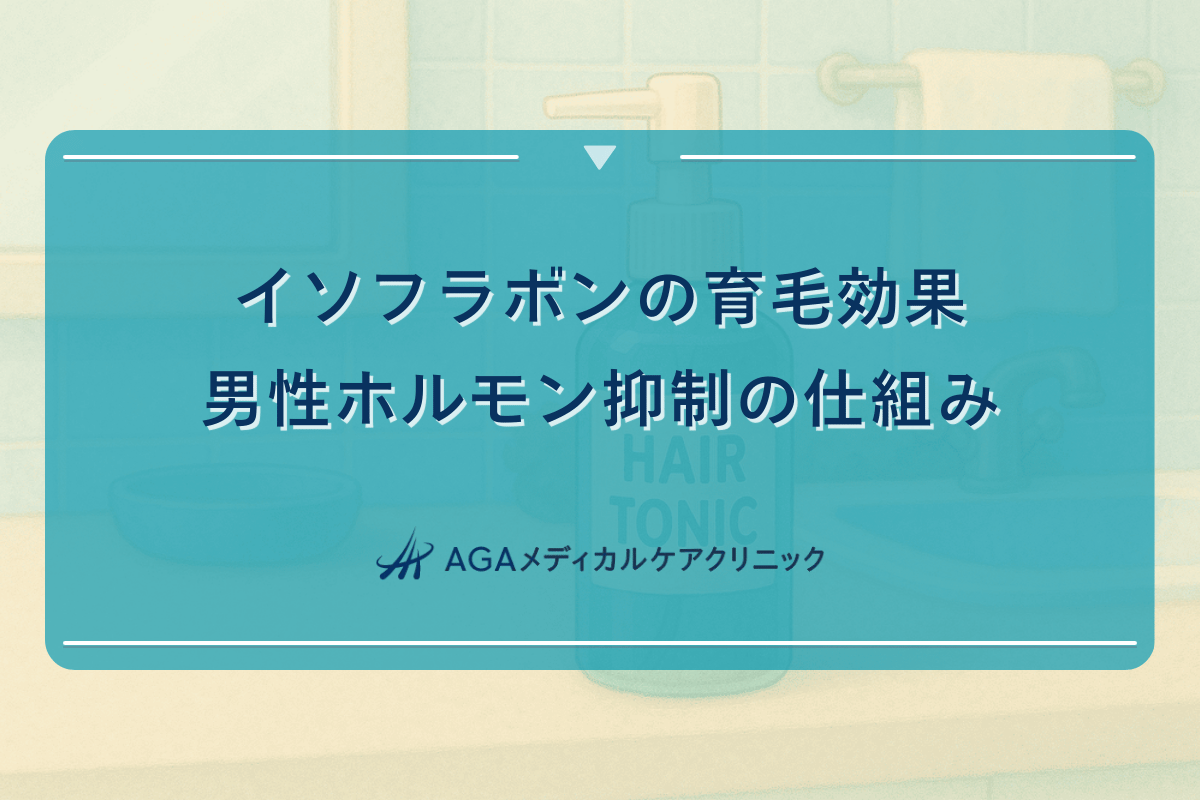 イソフラボンの育毛効果|男性ホルモン抑制の仕組み
