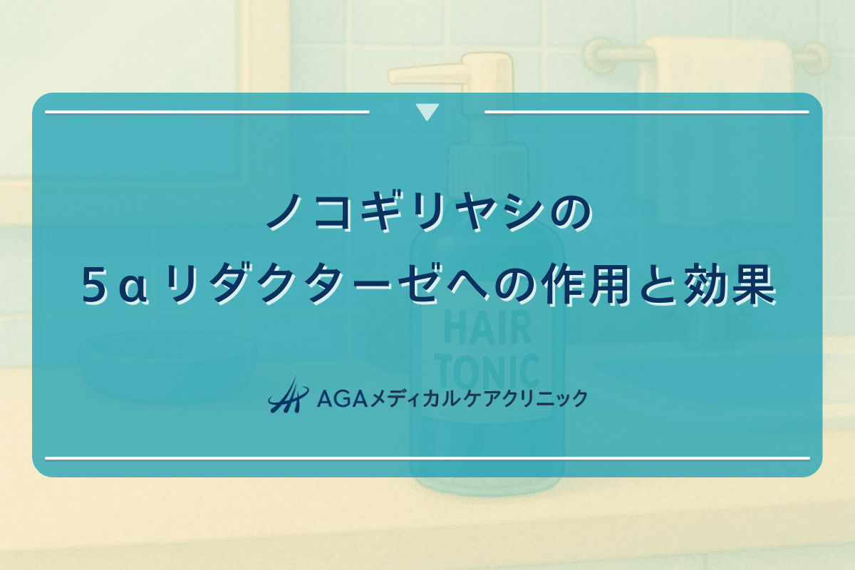 ノコギリヤシの5αリダクターゼへの作用と効果