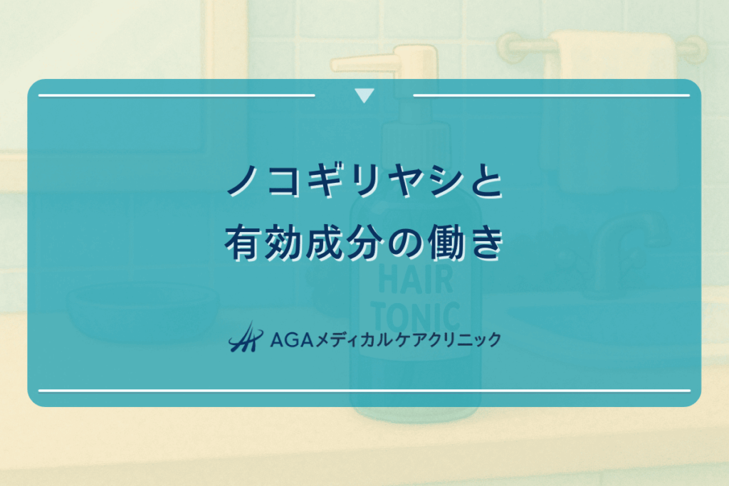 ノコギリヤシと有効成分の働き - AGAへの作用