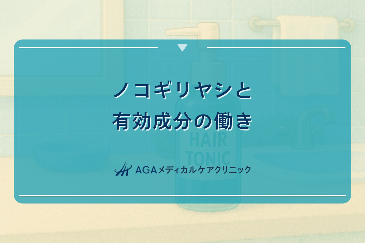 ノコギリヤシと有効成分の働き - AGAへの作用