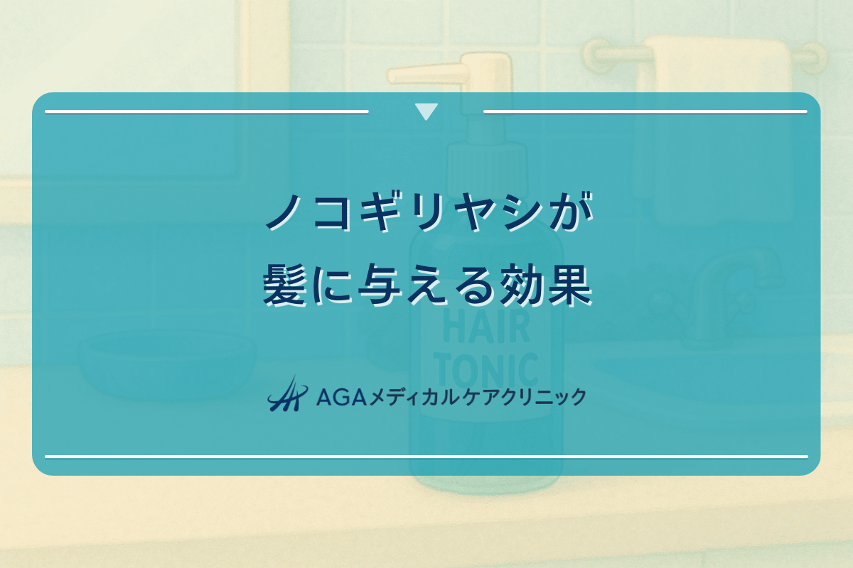 ノコギリヤシが髪に与える効果｜抜け毛の減少と改善