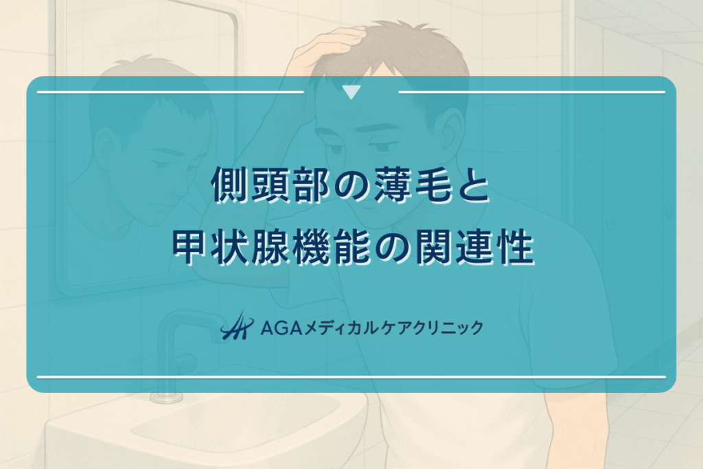 側頭部の薄毛と甲状腺機能の関連性について