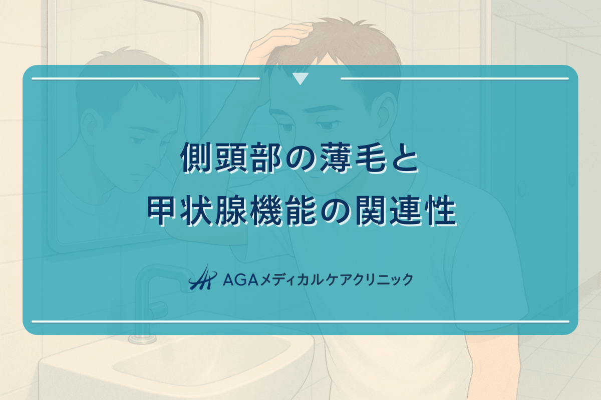 側頭部の薄毛と甲状腺機能の関連性について