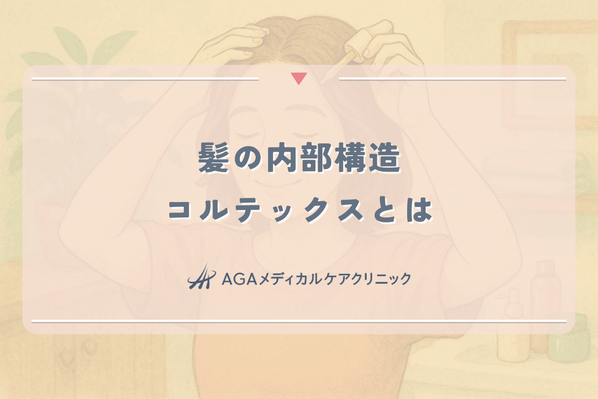 髪の内部構造コルテックスとは｜強く健康な髪を育てる方法