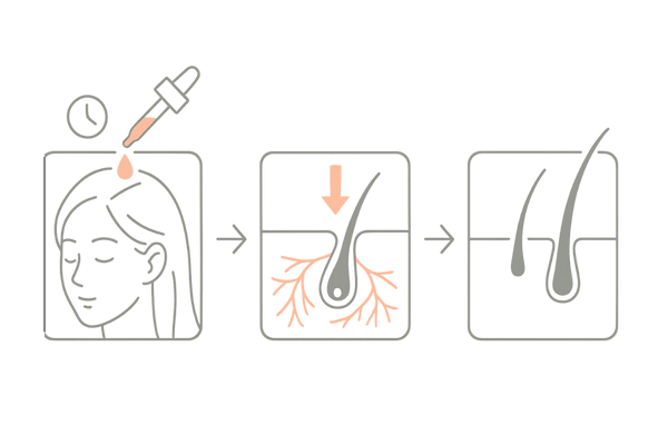 ミノキシジル外用薬の正しい使い方イメージ（塗布→浸透→発毛サイクル）