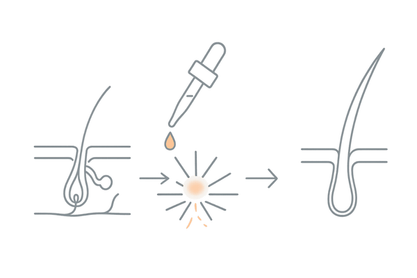 ミノキシジル外用薬の作用メカニズム図(頭皮血行促進と発毛サイクル)