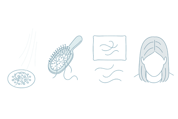 女性の抜け毛の初期サイン｜シャンプー・ブラッシング・枕元・分け目の変化を示すイラスト
