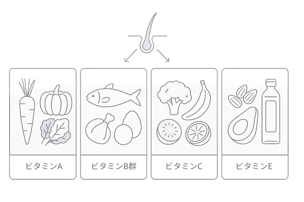 ビタミンA・B群・C・Eの食材アイコン一覧(頭皮環境を整える食品)