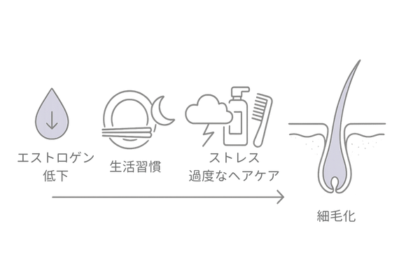 女性の薄毛の原因メカニズム|ホルモン・生活習慣・ストレス・ヘアケアの影響