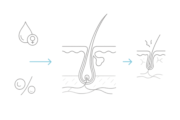 更年期の女性ホルモン低下が髪と頭皮に及ぼす影響｜毛周期・乾燥・血行不良のメカニズム図