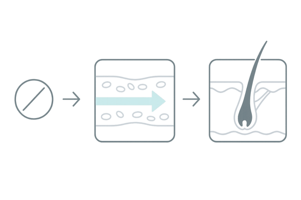 ミノキシジルの作用機序イメージ|血流改善と毛包への働き