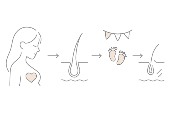 産後の抜け毛の仕組み|妊娠〜産後のホルモン変化とヘアサイクルの流れ