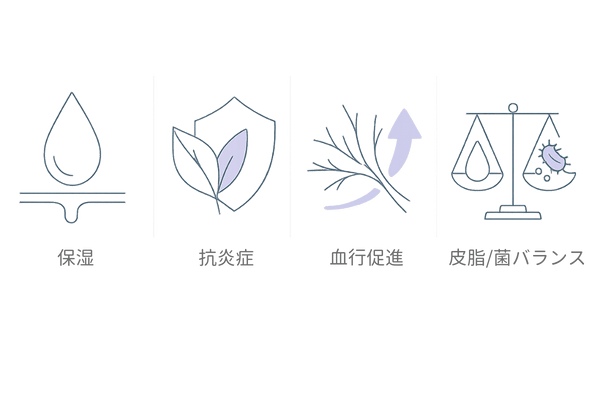 スカルプエッセンスの主成分と働き|保湿・抗炎症・血行促進・皮脂/菌バランスの4カテゴリ図